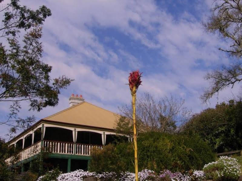 Mulla Villa Wollombi Exterior photo